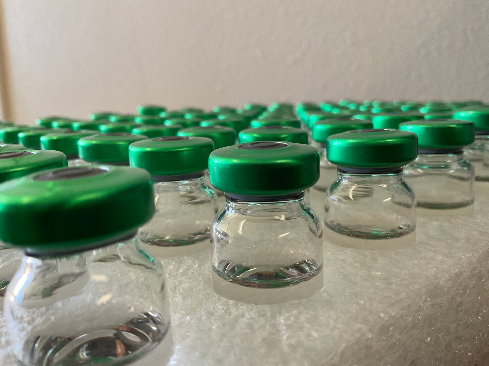 SRB BACTERIA BOTTLE 1%